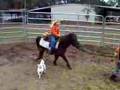 Gizmo With Ethan And Josie