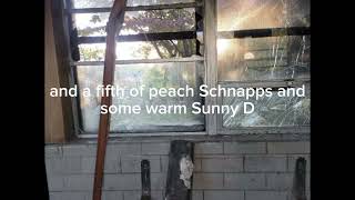 The Beer - kimya Dawson (lyrics)