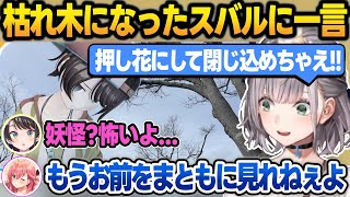 【両視点】スバルがちゅき過ぎてタガが外れてしまい、ドン引き発言で妖怪扱いされる団長【大空スバル/さくらみこ/宝鐘マリン/白銀ノエル/ハコス/角巻わため/水宮枢/ホロライブ/切り抜き】