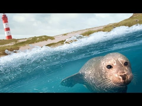 Trailer Die Nordsee - Unser Meer