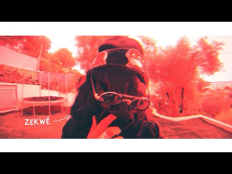 Video thumbnail for Animos
