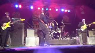 Los Straitjackets @ VLV17