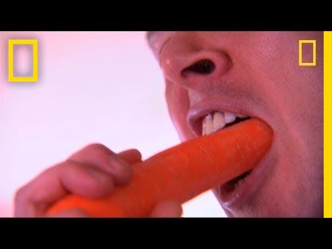 其實我們是用鼻子在「品嚐」食物？來看看這個食物測試的結果！ I Didn't Know That - Food Tasters