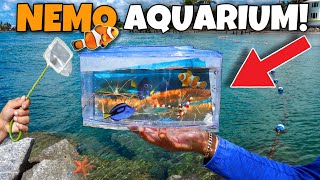 Catching SEA CREATURES For NEMO AQUARIUM!!