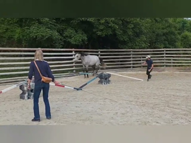 5ans par Untouchable 27 et mère classé 1m45