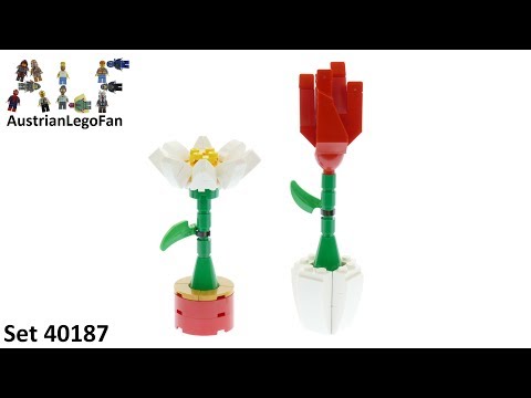 Vidéo LEGO Saisonnier 40187 : Fleurs décoratives LEGO