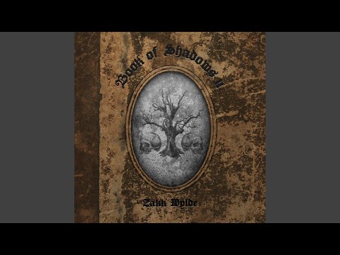 Darkest Hour - Zakk Wylde