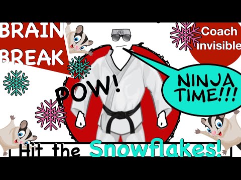 Snowflake Ninja Battle - (GoNoodle Inspired Brain Break)