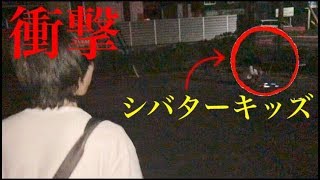 【奇跡】シバターの動画を深夜に一人で見る子供と遭遇したｗ