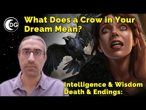 Crow Dream Meaning and Interpretation