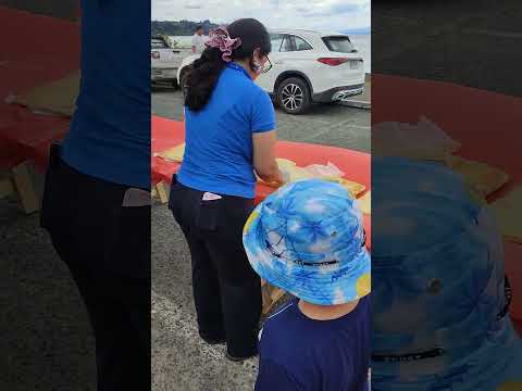 #frutillar #kuchen #teletón #gatopinguino #loslagos