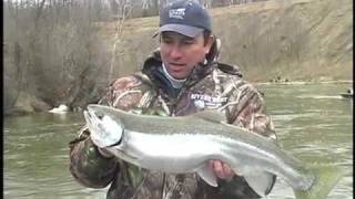 preview picture of video 'Manistee River Steelhead'