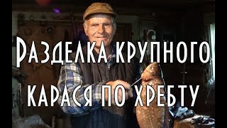 Жарким летом вдоль по речке плыли стайкой караси