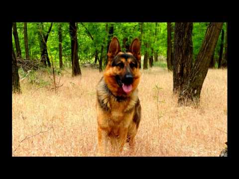 Submantra - Funny Day [Original Mix]