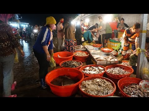 Early Morning Daily Activities of Vendors Selling Fish @Prek Phnov Bride - Walk Around Fish Market