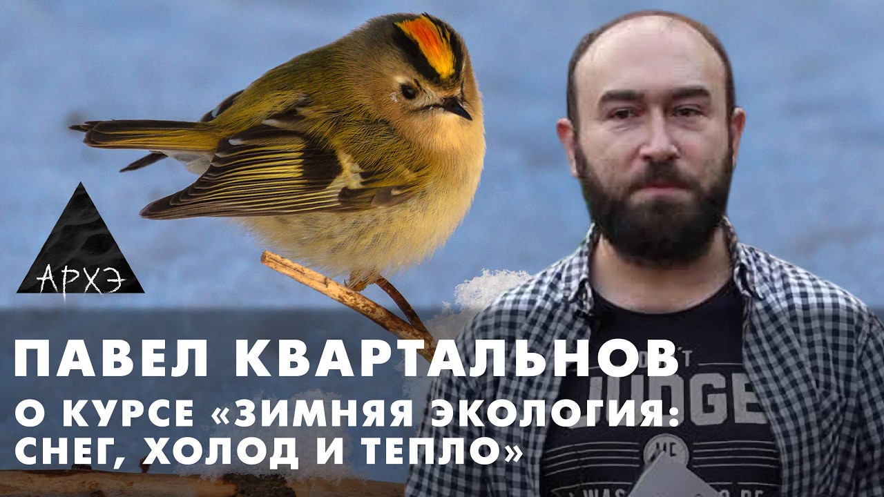 Павел Квартальнов: Курс «Зимняя экология: снег, холод и тепло»