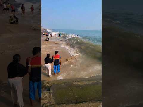 Digha Dolphin 🐬 Dhew 🥰🥰🥰 #sea #waves #shorts