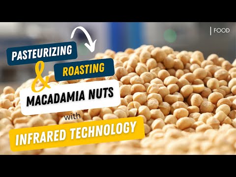 Pasteurization & Roasting of LIMBUA's Organic Macadamia Nuts using Infrared Technology