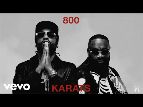 Rick Ross, Meek Mill - 800 Karats (Visualizer)