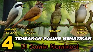 Download lagu MASTERAN FULL TEMBAKAN KOMBINASI KAPAS TEMBAK,CUCAK JENGGOT,JINGJING PETULAK,SIRI-SIRI SUARA JERNIH mp3 Download lagu MASTERAN FULL TEMBAKAN KOMBINASI KAPAS TEMBAK,CUCAK JENGGOT,JINGJING PETULAK,SIRI-SIRI SUARA JERNIH mp3
