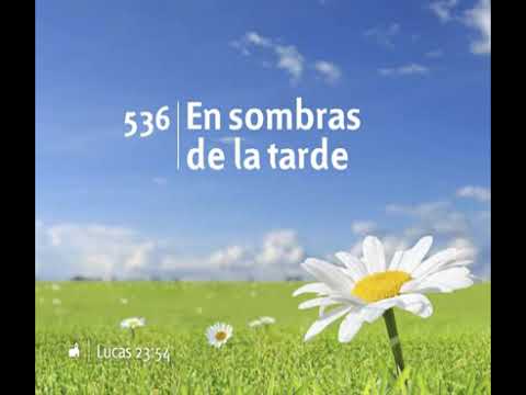 536 En Sombras De La Tarde