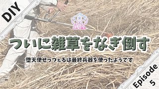 【 DIY 初心者 】「ついに雑草をなぎ倒す！？」#5 #せっつぇるの秘密基地 【 せっつぇる 】 #vtuber #vtuberclips #Shorts #DIY #超美麗3D Vlog