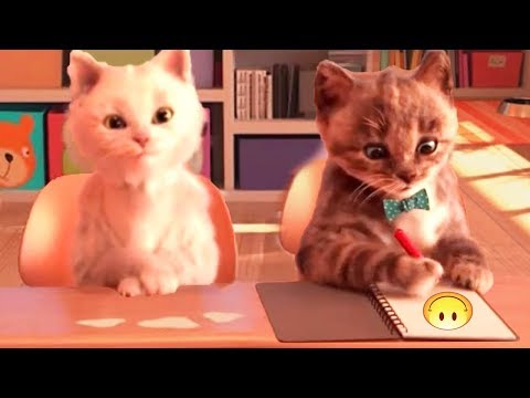 Little Kitten My Favorite Cat Pet Care Kids Game - Baby Learn Colors With Little Kitten Preschool