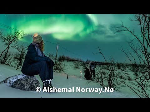 Under the Arctic Sky – Alshemal Norway | Aurora Song • Northern Lights Chase in Tromsø