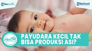 Mitos atau Fakta Payudara Kecil Tidak Bisa Produksi Banyak ASI? Begini Penjelasan Lengkap