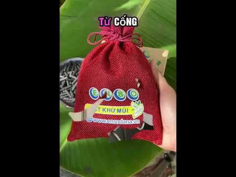 KHỬ MÙI CỐNG, MÙI HÔI NHÀ VỆ SINH CHO PHÒNG TRỌ!