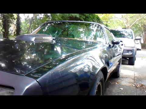 1979 Pontiac Firebird Trans Am (CC-1145946) for sale in Somers Point, New Jersey