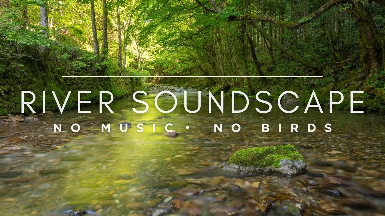 No Birdsongs - Soothing Water Sounds of Embara River for Sleep, Focus, and Relaxation