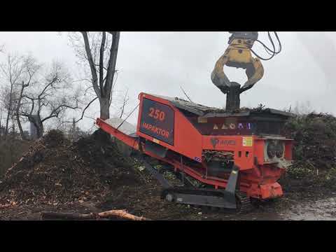 Arjes Impaktor 250 Schredder/Grünschnitt