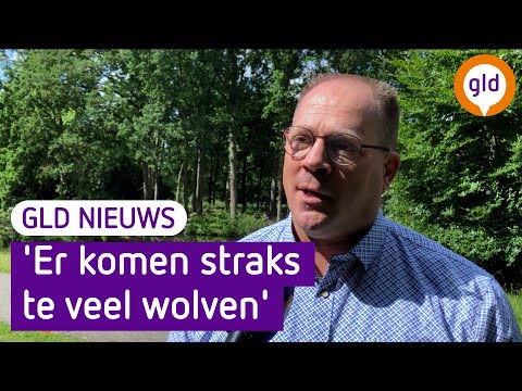 GLD Nieuws 4 juni 2022
