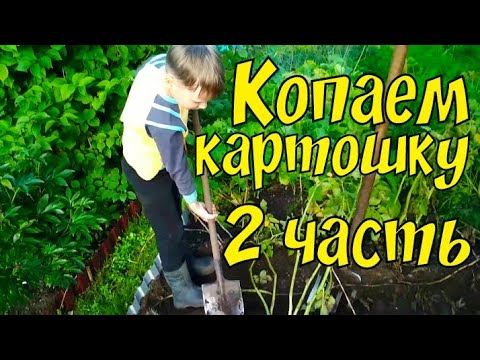 Копаем картошку 2часть