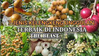 Download lagu 7 Best Longan Fruit Varieties That Are Easy to Grow in Indonesia mp3 Download lagu 7 Best Longan Fruit Varieties That Are Easy to Grow in Indonesia mp3