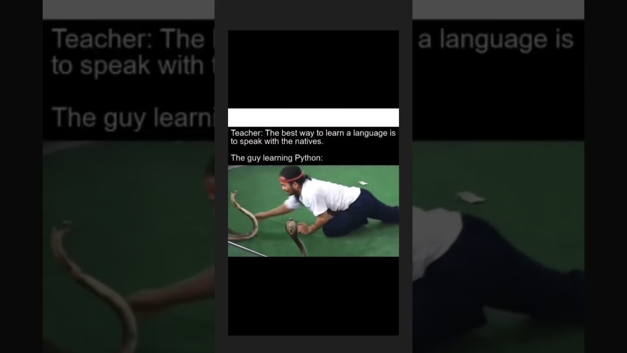 The Guy Learning Python 😂😂 #programming #coding #memes #shorts