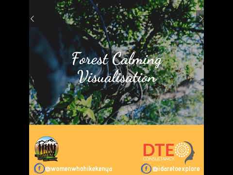 Forest Calming Visualisation: Feel the forest's call to calm