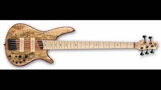 Nerdeydin - Ebru Gundes ( Bass Cover )