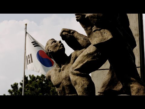 [서울독립영화제2024 페스티벌 초이스 장편 쇼케이스9] 폭력의 감각 예고편