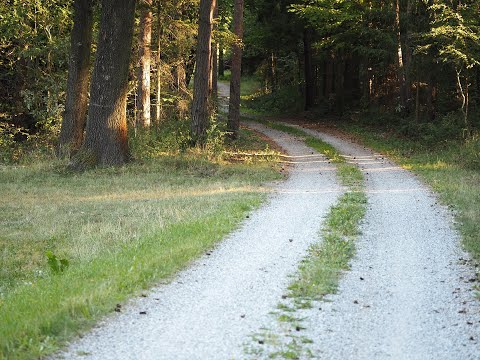 A missão de Francisco de Assis/Miramez