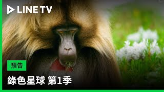 【綠色星球 第1季｜The Green Planet S1】預告：歷時1,460天、走訪27國，跳脫人類視角，揭開奇妙有趣的植物世界！| LINE TV 共享追劇生活