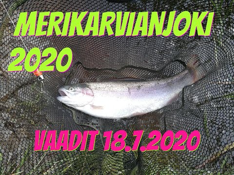 Merikarvianjoki 2020 | Vaadit 18.7.2020 | Kalastus 2020