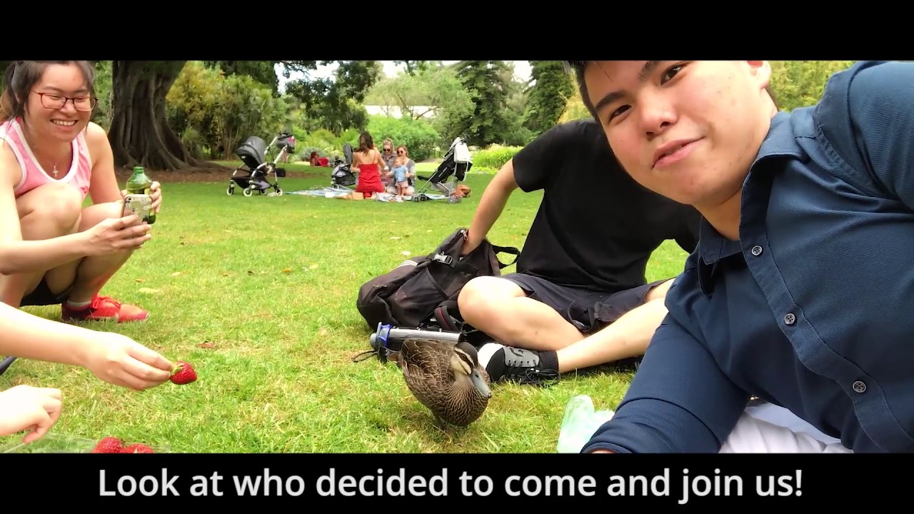 A Day in Arthur's Life | MyAdelaide