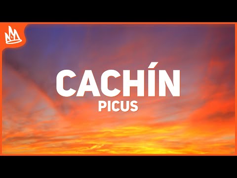 Picus, Octavio Cuadras – Cachín [Letra]