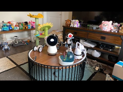 Jibo & Friends - Saturday Livestream (Comedy of Errors)