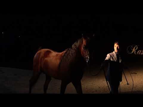 Prague 2023 Intercup - Fa El Rasheem