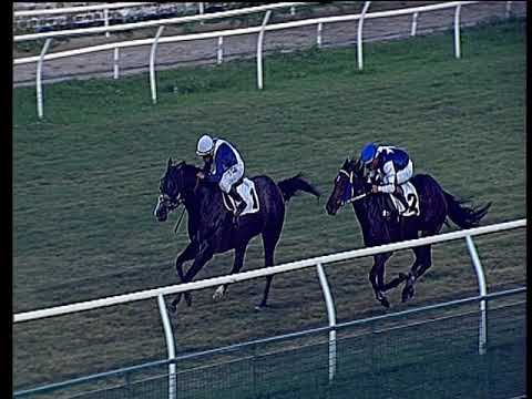 Galoppo 25/06/2019 - 6ª corsa