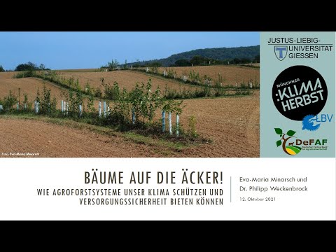 Bäume auf die Äcker! Wie Agroforstsysteme unser Klima schützen und Versorgungssicherheit bieten.