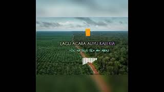 Download lagu LAGU  ACARA TERBARU _-_2025_-_ AUYU KALI KIA_-_ VOC NATALIS TEA_-_MIX ABAZ mp3